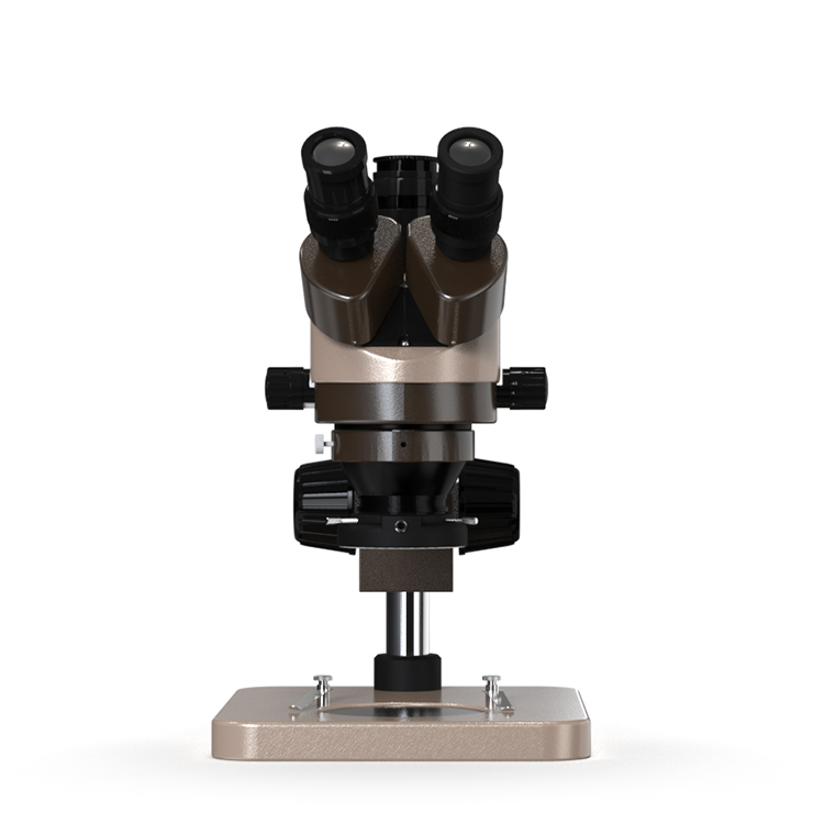 Stereo Microscope