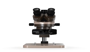 a stereo microscope